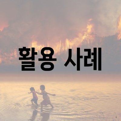 활용 사례