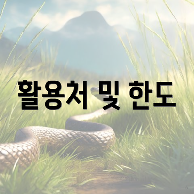 활용처 및 한도