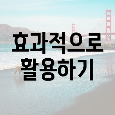 효과적으로 활용하기