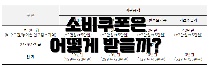 소비쿠폰은 어떻게 받을까?