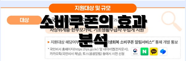 소비쿠폰의 효과 분석
