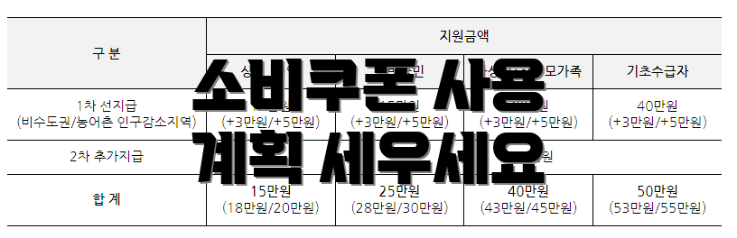소비쿠폰 사용 계획 세우세요
