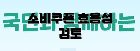 소비쿠폰 효용성 검토