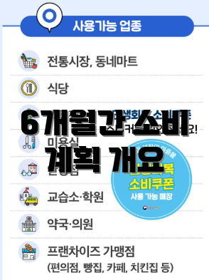 6개월간 소비 계획 개요