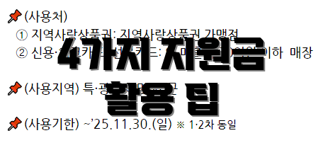 4가지 지원금 활용 팁