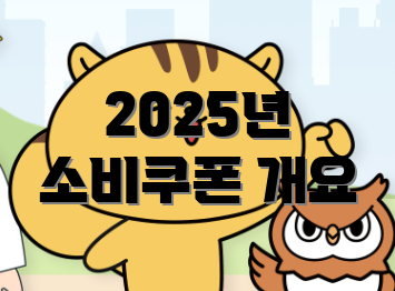 2025년 소비쿠폰 개요