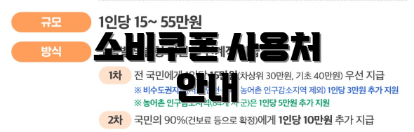 소비쿠폰 사용처 안내
