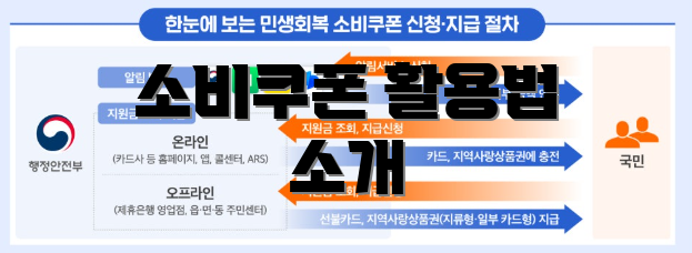 소비쿠폰 활용법 소개