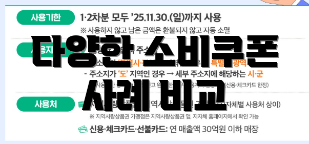 다양한 소비쿠폰 사례 비교