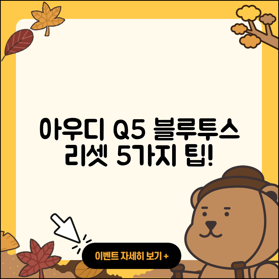 아우디 Q5 블루투스 리셋 5가지 팁